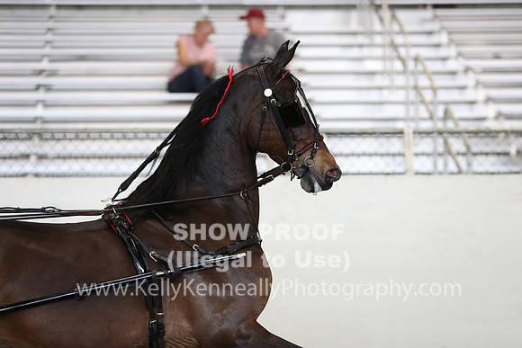 CA_Springfest19_ThursPM_8802