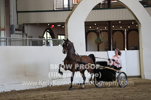 CA_Springfest19_ThursPM_8829