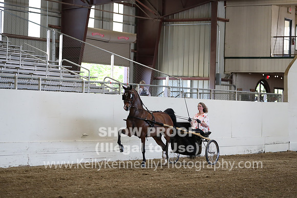 CA_Springfest19_ThursPM_8830