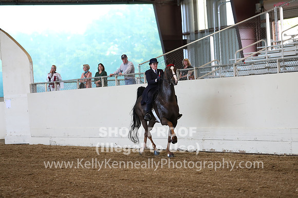 CA_Springfest19_ThursPM_8722