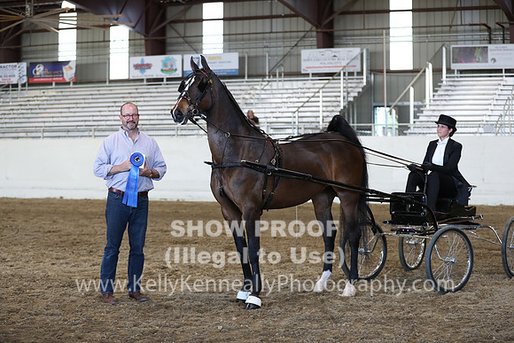 CA_Springfest19_ThursPM_8803