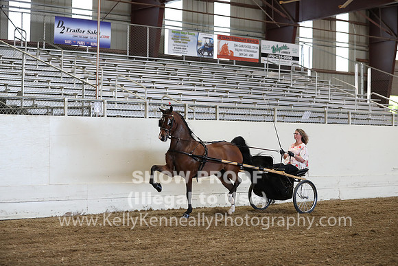CA_Springfest19_ThursPM_8831