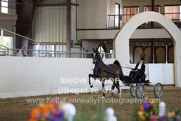 CA_Springfest19_ThursPM_8805