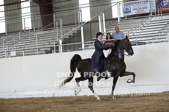 CA_Springfest19_ThursPM_8726