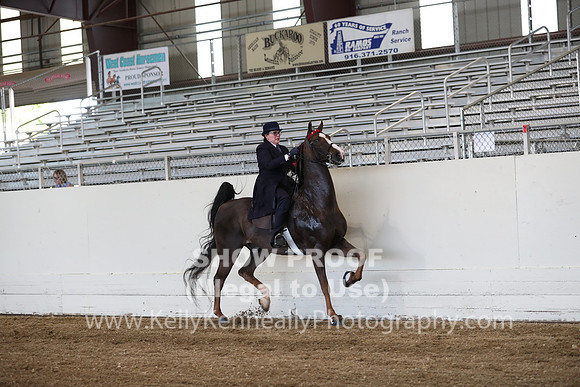 CA_Springfest19_ThursPM_8728