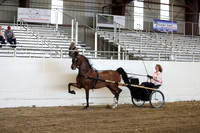 CA_Springfest19_ThursPM_8832