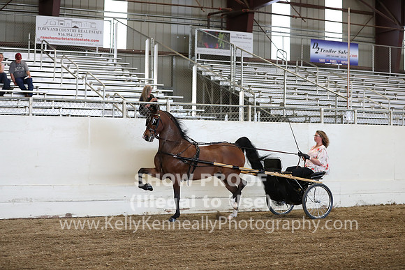 CA_Springfest19_ThursPM_8832