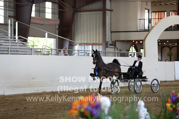 CA_Springfest19_ThursPM_8806