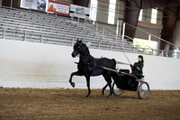 CA_Springfest19_ThursPM_8834