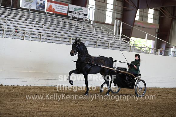 CA_Springfest19_ThursPM_8834