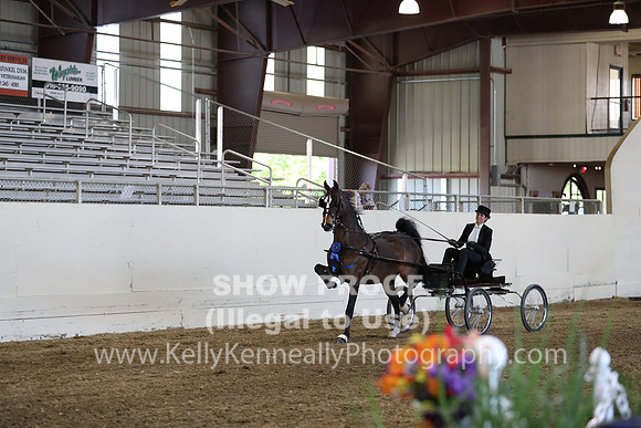 CA_Springfest19_ThursPM_8807