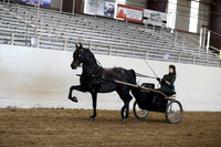 CA_Springfest19_ThursPM_8835