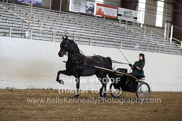 CA_Springfest19_ThursPM_8835