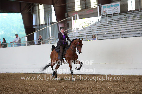 CA_Springfest19_ThursPM_8729