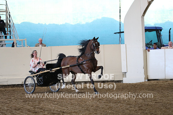 CA_Springfest19_ThursPM_8839