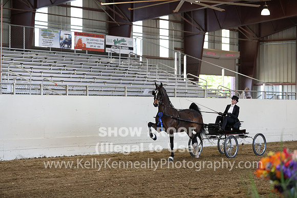 CA_Springfest19_ThursPM_8808