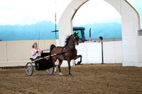 CA_Springfest19_ThursPM_8840