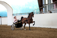 CA_Springfest19_ThursPM_8843
