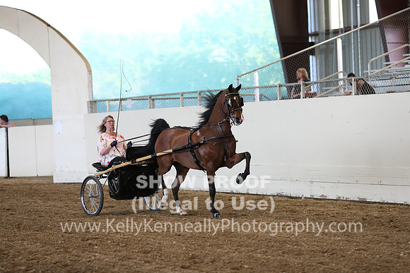 CA_Springfest19_ThursPM_8843