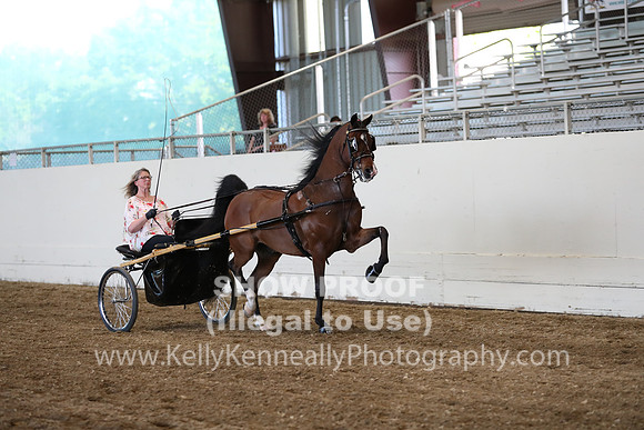 CA_Springfest19_ThursPM_8844