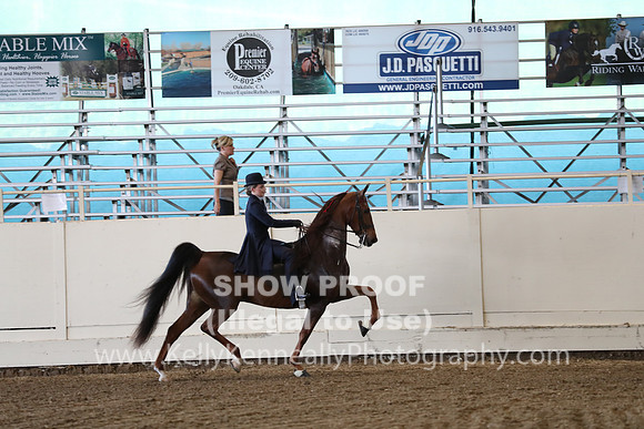 CA_Springfest19_ThursPM_8734