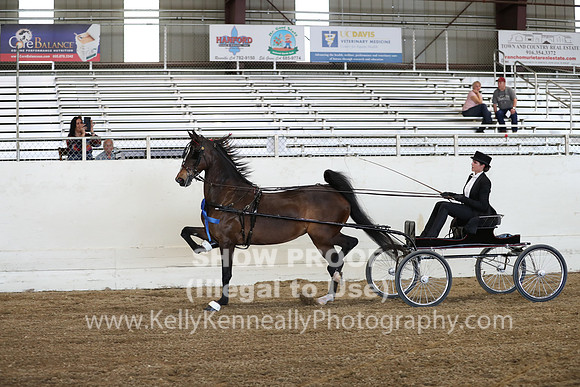 CA_Springfest19_ThursPM_8813
