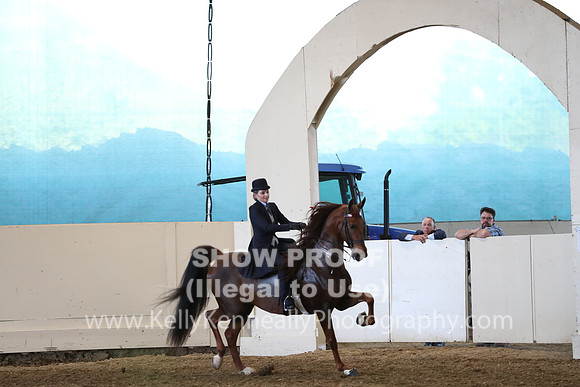 CA_Springfest19_ThursPM_8737