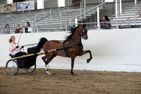CA_Springfest19_ThursPM_8845