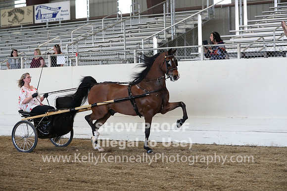 CA_Springfest19_ThursPM_8845
