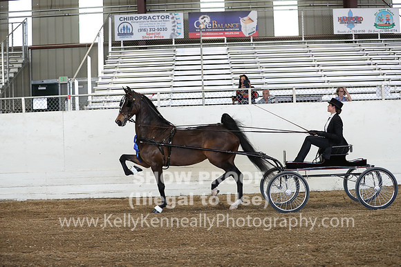 CA_Springfest19_ThursPM_8814
