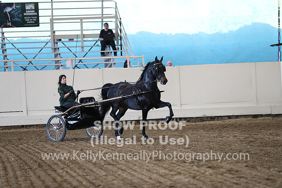CA_Springfest19_ThursPM_8847