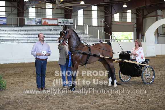CA_Springfest19_ThursPM_8851