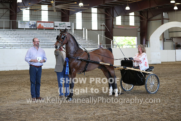 CA_Springfest19_ThursPM_8852