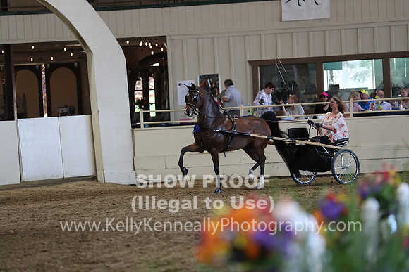 CA_Springfest19_ThursPM_8853
