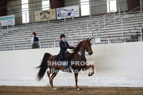 CA_Springfest19_ThursPM_8741