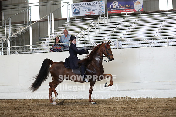 CA_Springfest19_ThursPM_8742