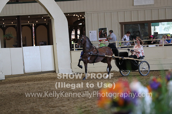 CA_Springfest19_ThursPM_8856