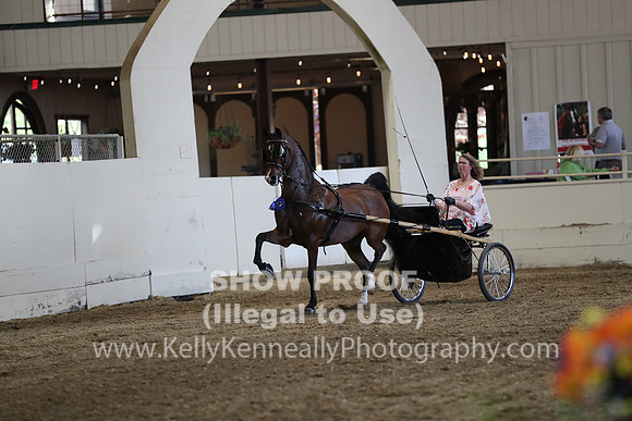 CA_Springfest19_ThursPM_8858