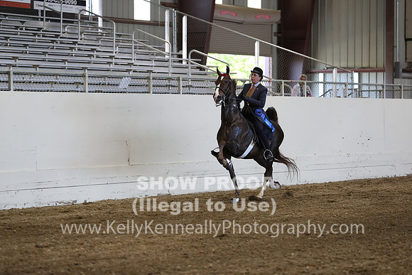 CA_Springfest19_ThursPM_8748