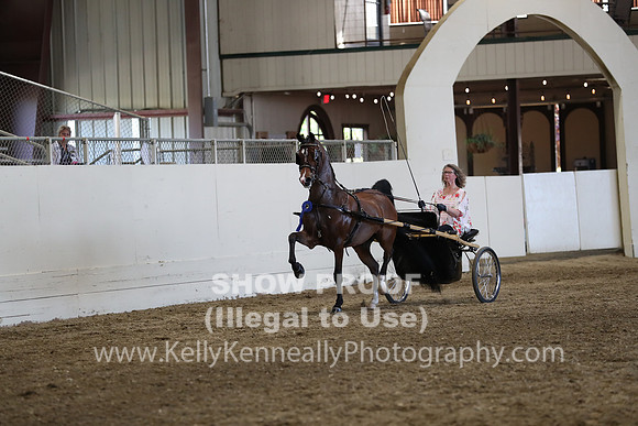 CA_Springfest19_ThursPM_8860