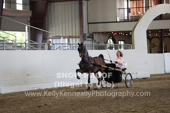 CA_Springfest19_ThursPM_8861
