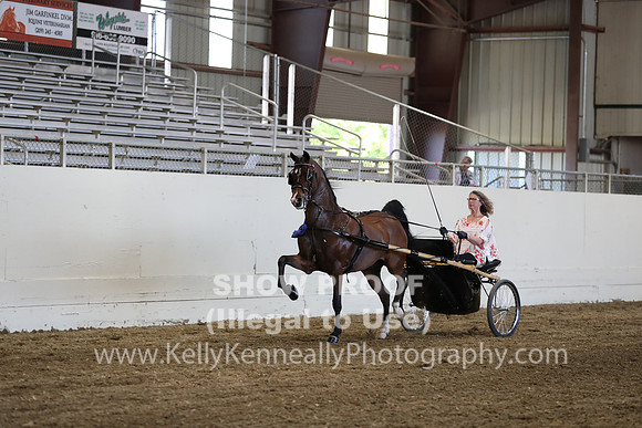 CA_Springfest19_ThursPM_8862