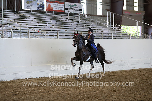 CA_Springfest19_ThursPM_8753