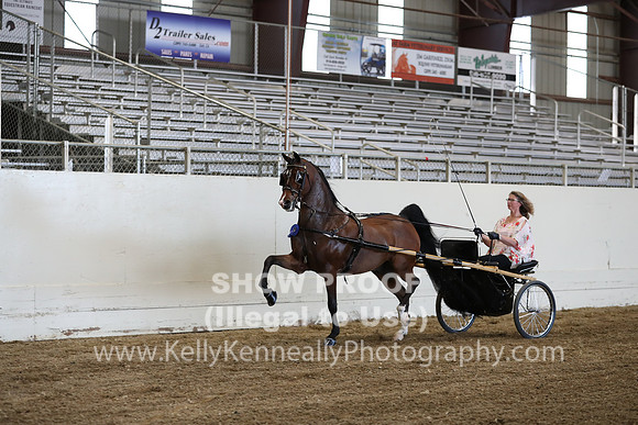 CA_Springfest19_ThursPM_8866