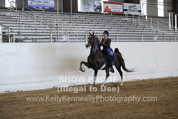 CA_Springfest19_ThursPM_8754