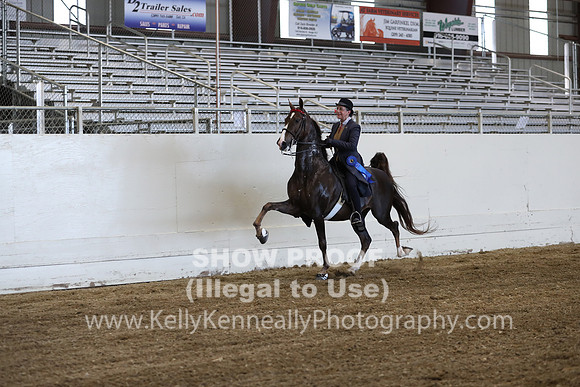 CA_Springfest19_ThursPM_8755