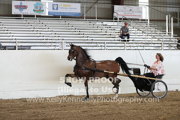 CA_Springfest19_ThursPM_8869