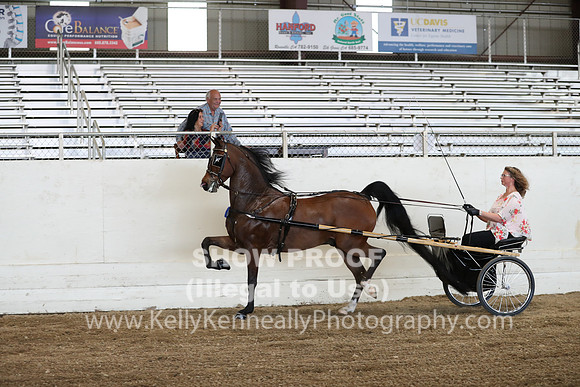 CA_Springfest19_ThursPM_8871