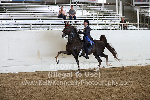 CA_Springfest19_ThursPM_8760