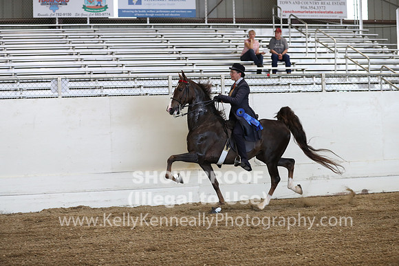 CA_Springfest19_ThursPM_8763